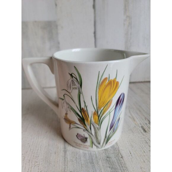 Botanic Gardens crocus meadow saffron snow drop picture flower - Picture 5 of 11